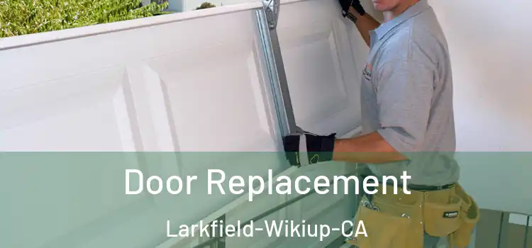 Door Replacement Larkfield-Wikiup-CA
